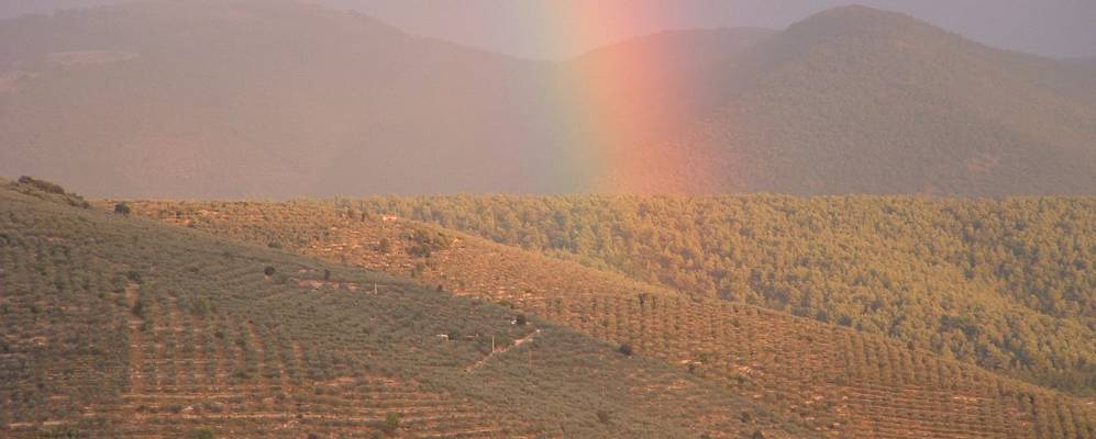 
            Фотография Гуальдо-Тадино