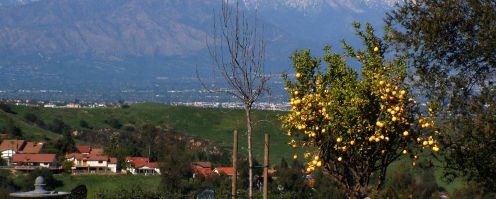 
            Фотография Чино Хиллса