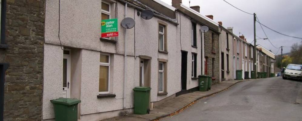 
            Фотография Newton