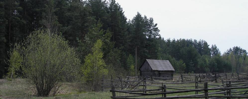 
            Фотография Колоса