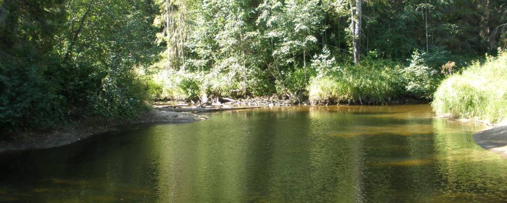 
            Фотография Фетино