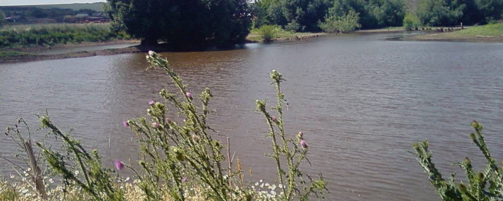 
            Фотография Воскресеновки