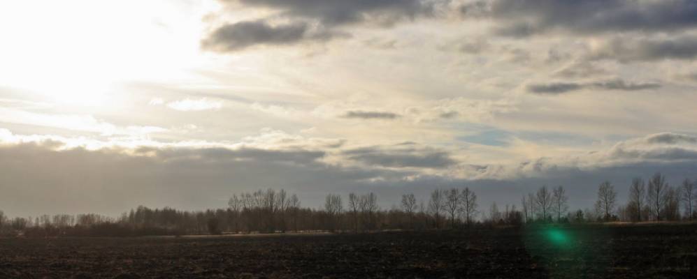 
            Фотография Вязовки