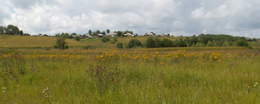 
            Фотография Уласовской
