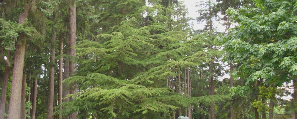 
            Фотография Стэйтона