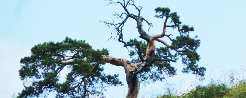 
            Фотография Ключей