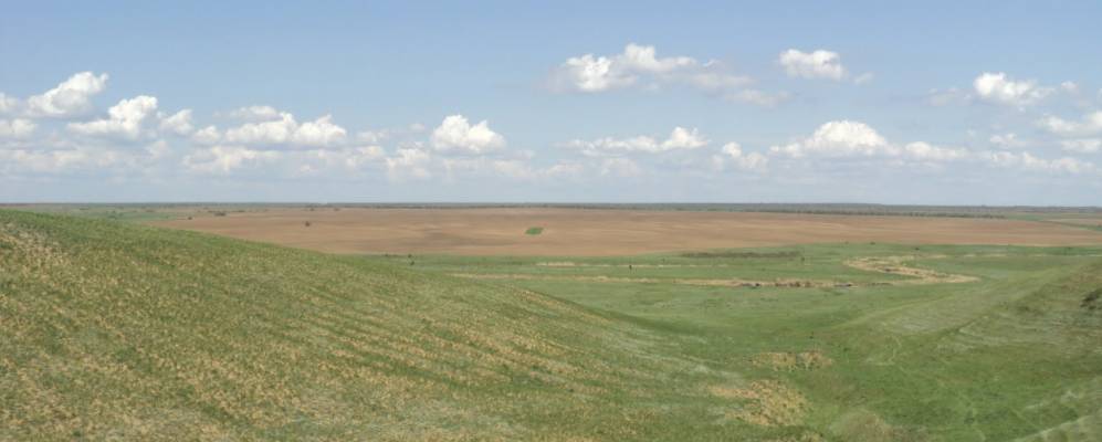 
            Фотография Черновского