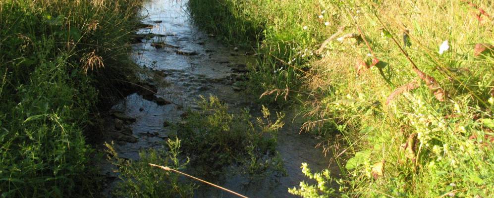 
            Фотография Янгантау