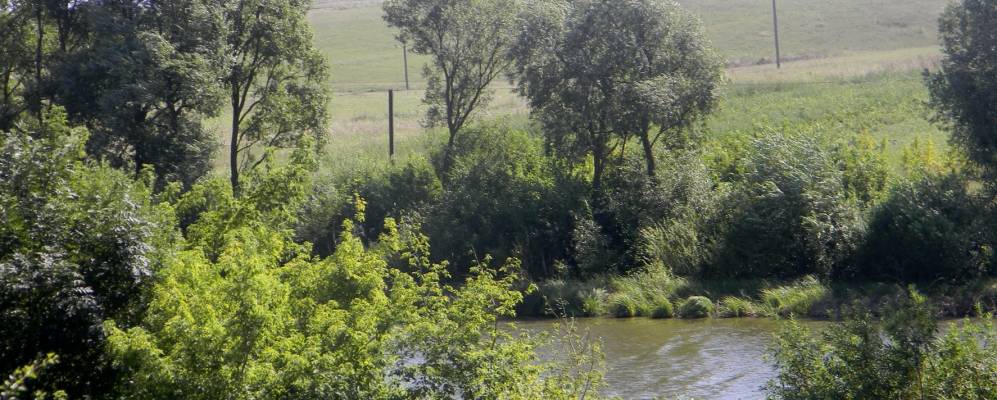 
            Фотография Туровки