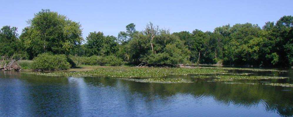 
            Фотография Тинсвилла