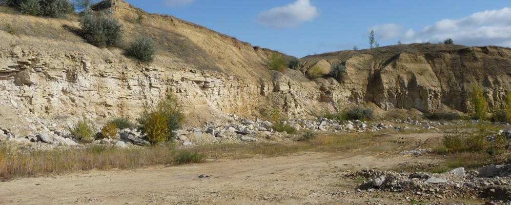 
            Фотография Залесья