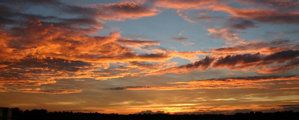 
            Фотография Фоэси