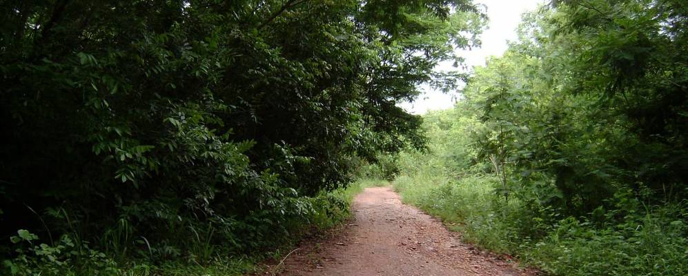 
            Фотография Илья-Солтейра