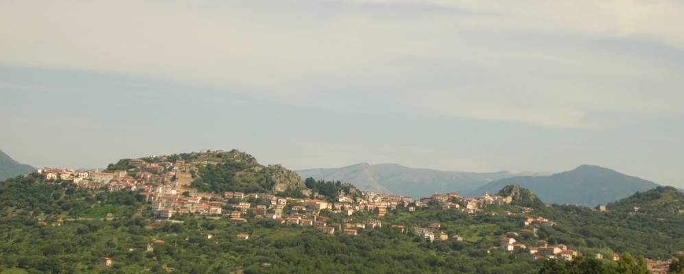 
            Фотография Роккаглориозы