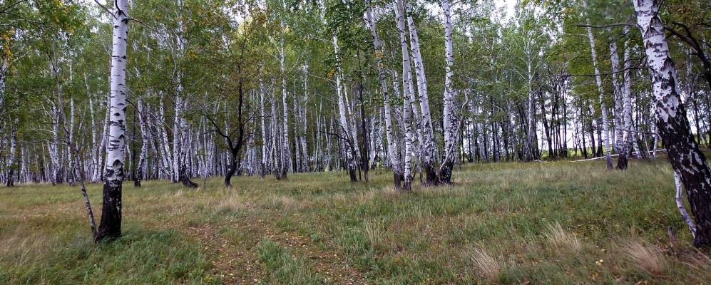 
            Фотография Старого Шунгута