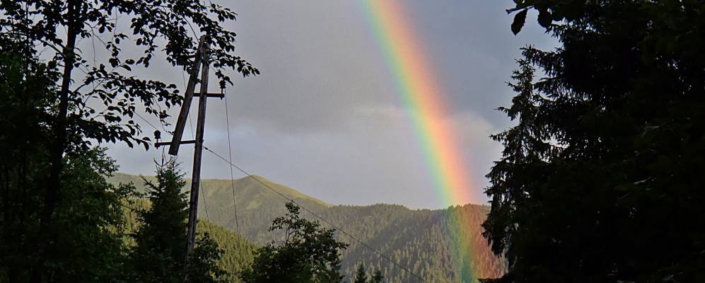 
            Фотография Азуги