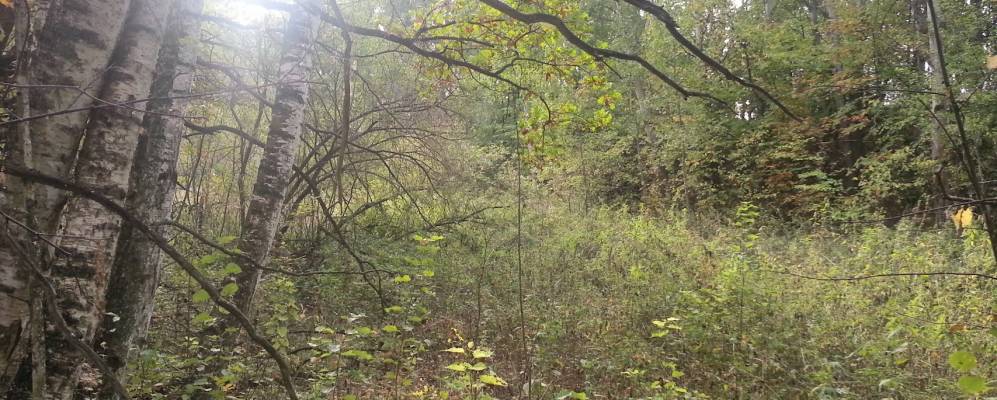 
            Фотография Красного Поселка