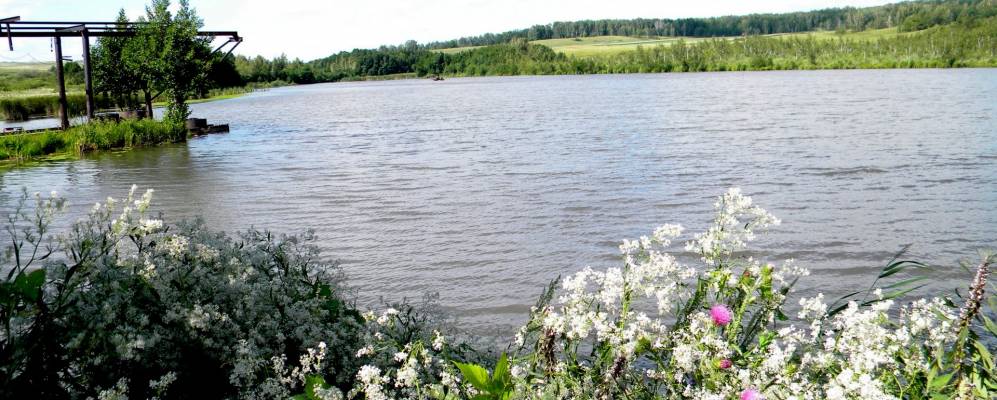 
            Фотография Мордово-Ишуткино