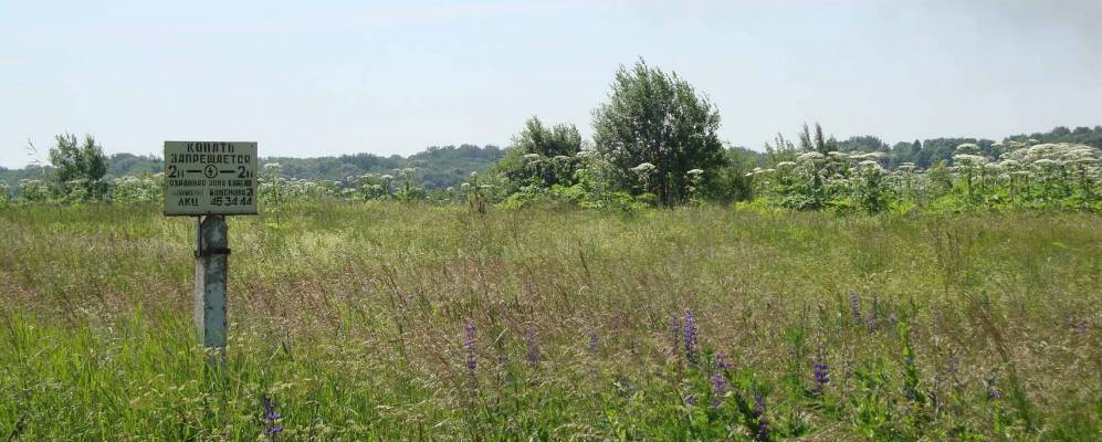 
            Фотография Дорожного