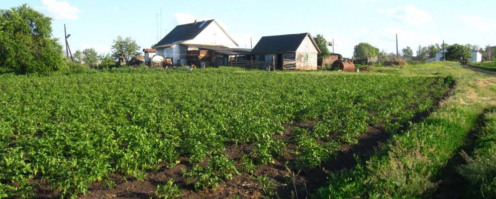 Фотография Калугино