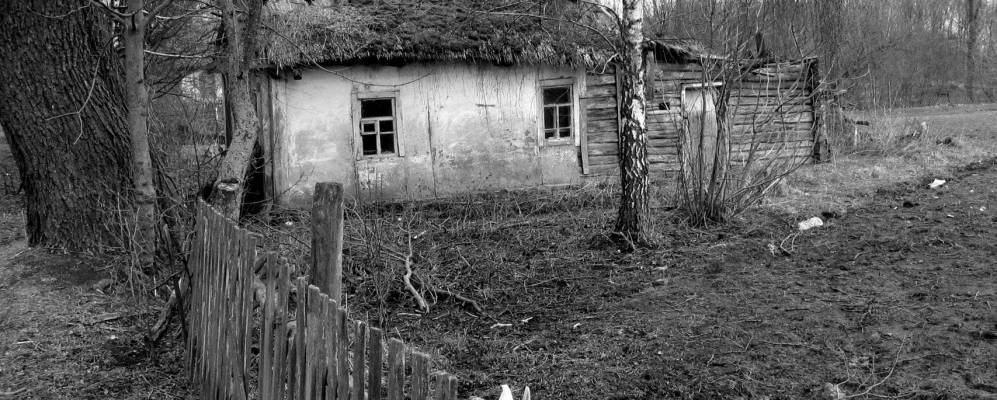 
            Фотография Тростенца