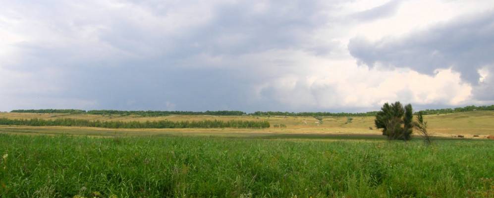 
            Фотография Петровского