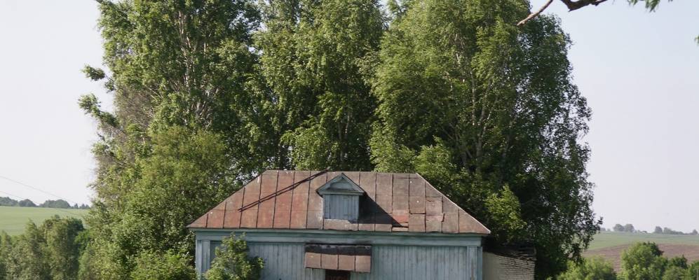 
            Фотография Мызы