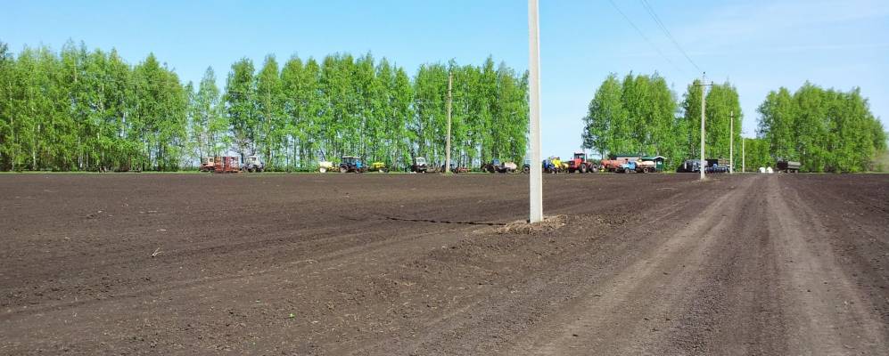 
            Фотография Петровки