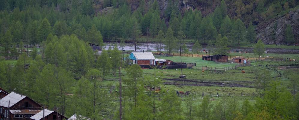 
            Фотография Сорока