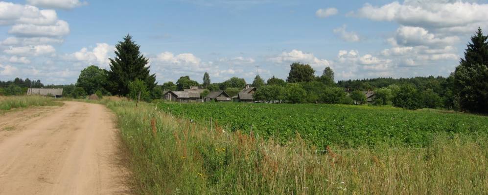 
            Фотография деревни Барсуки