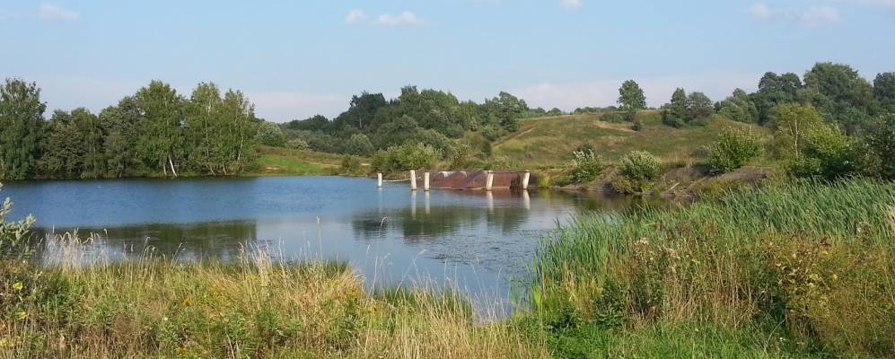 
            Фотография Павловского