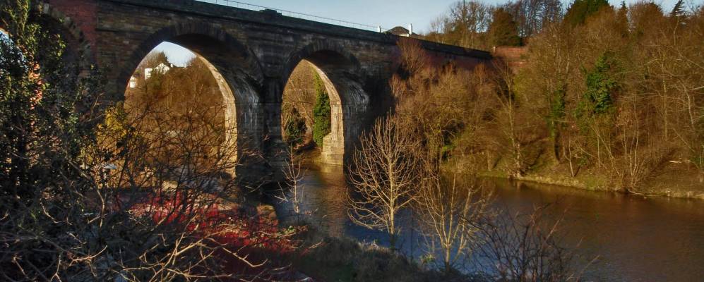 
            Фотография Ярма