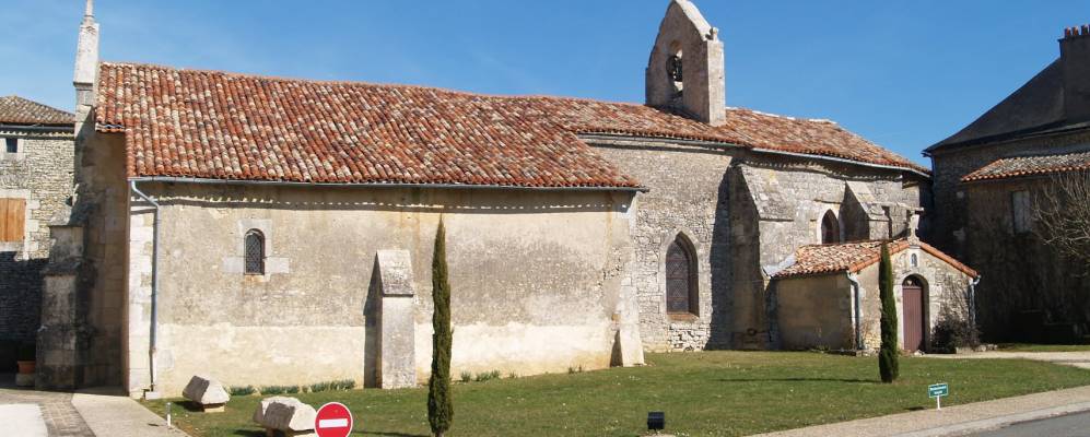 
            Фотография Шаньера