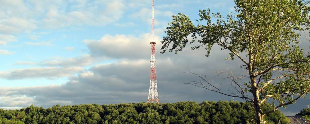 
            Фотография Кукушки
