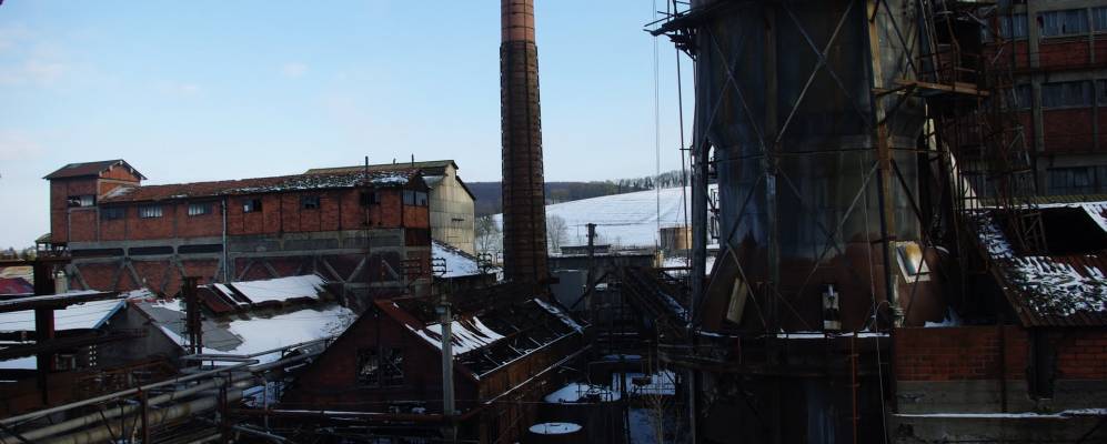 
            Фотография Клеона