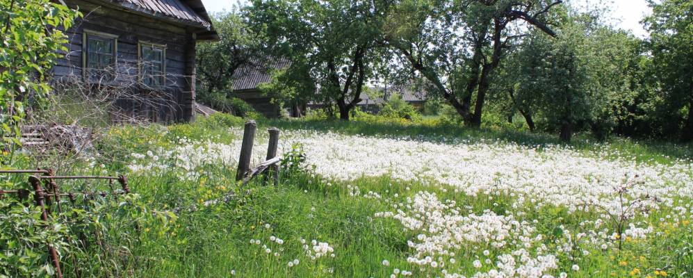 
            Фотография Антоновичи