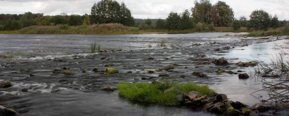 
            Фотография Марково