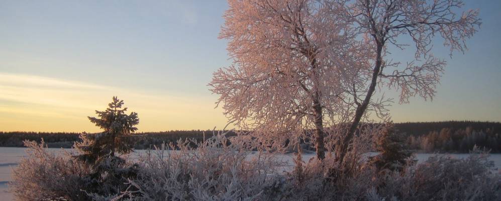 
            Фотография Руки