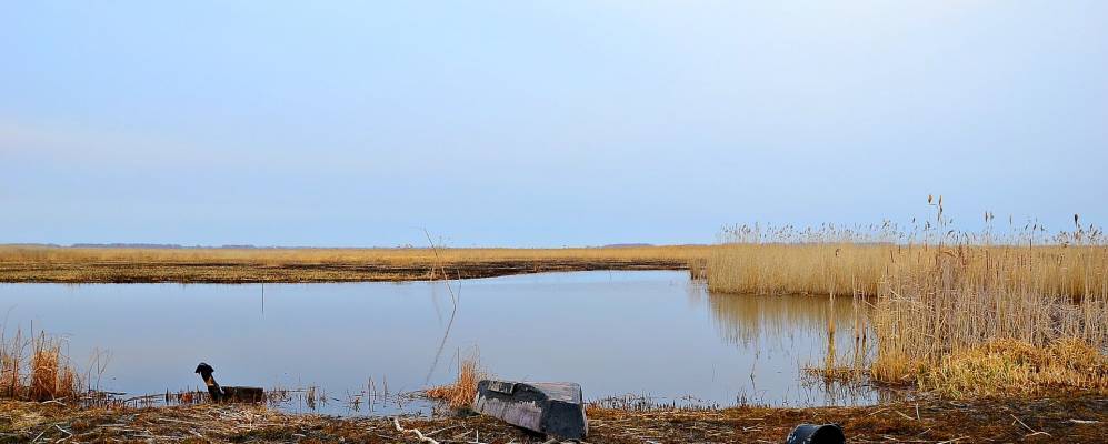 
            Фотография Новогребенщиково