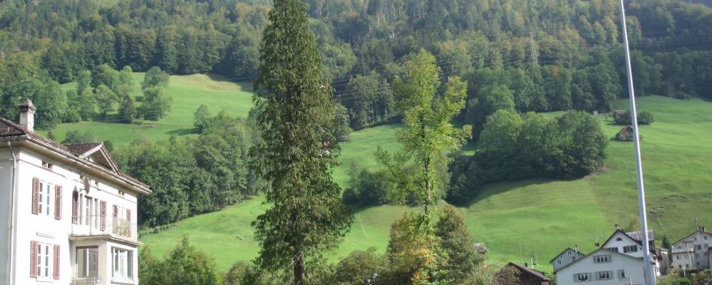 
            Фотография Лухсингена