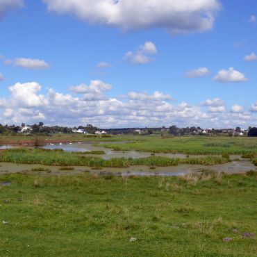 Добростаны