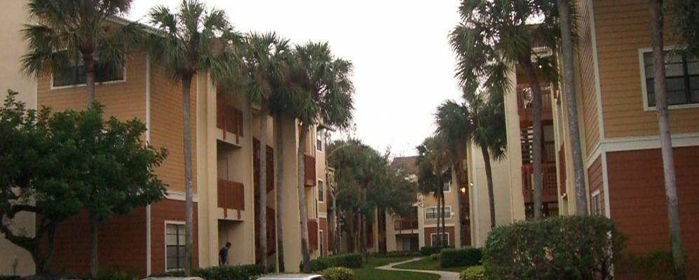 
            Фотография Норт Лодердэйла