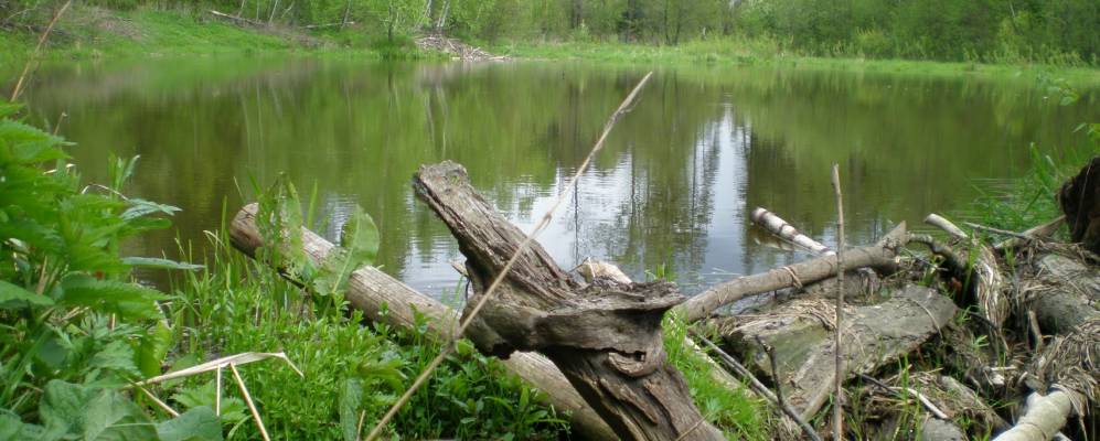 
            Фотография Дворца