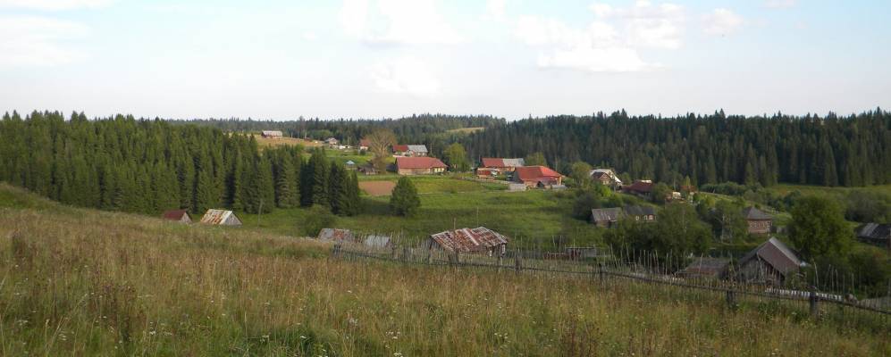 Фотография Сои