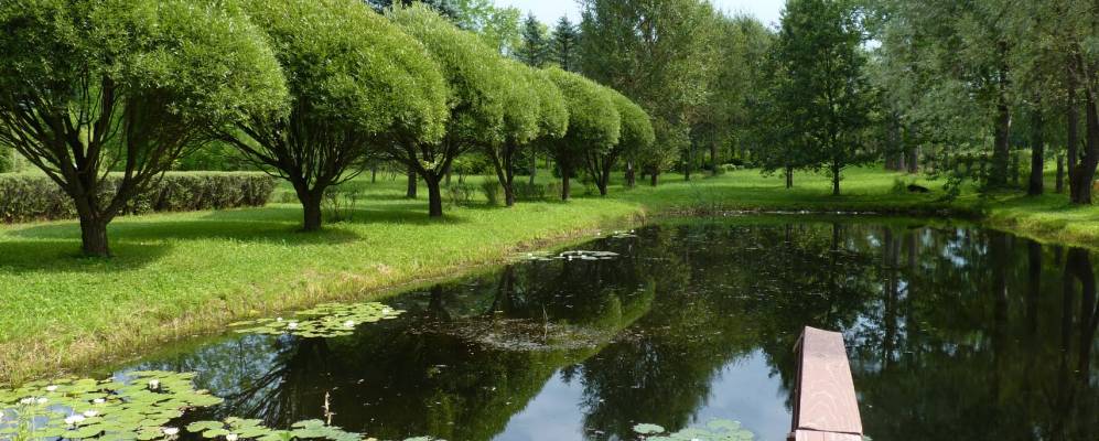 Фотография деревни Ластовичи