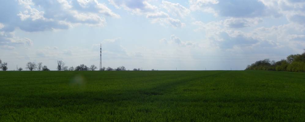 
            Фотография Приволья