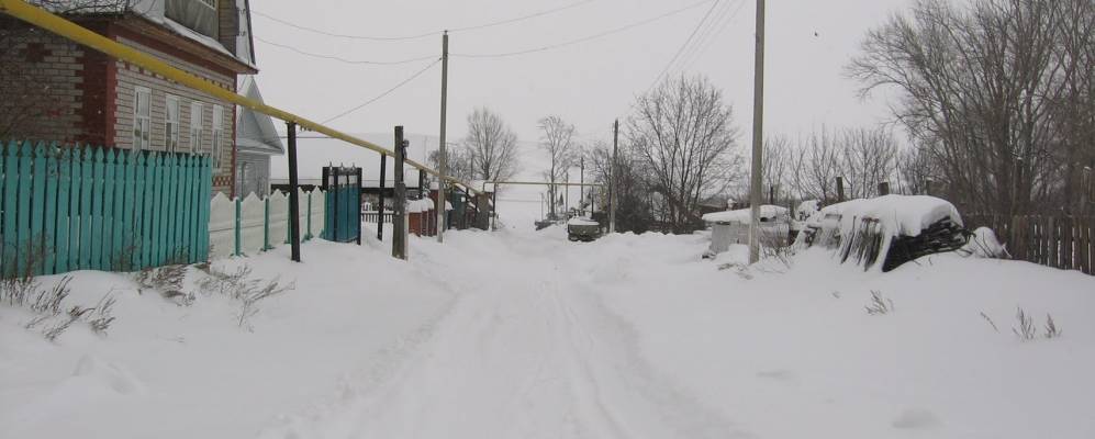 Фотография Тамаево