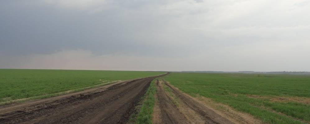 
            Фотография Андреевки