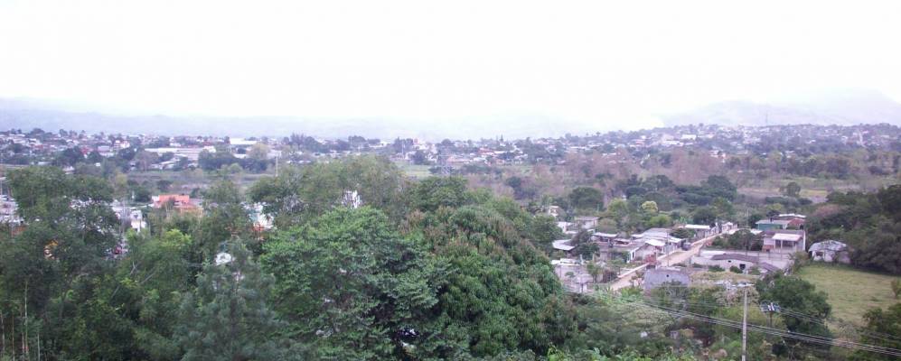 
            Фотография Мисантлы