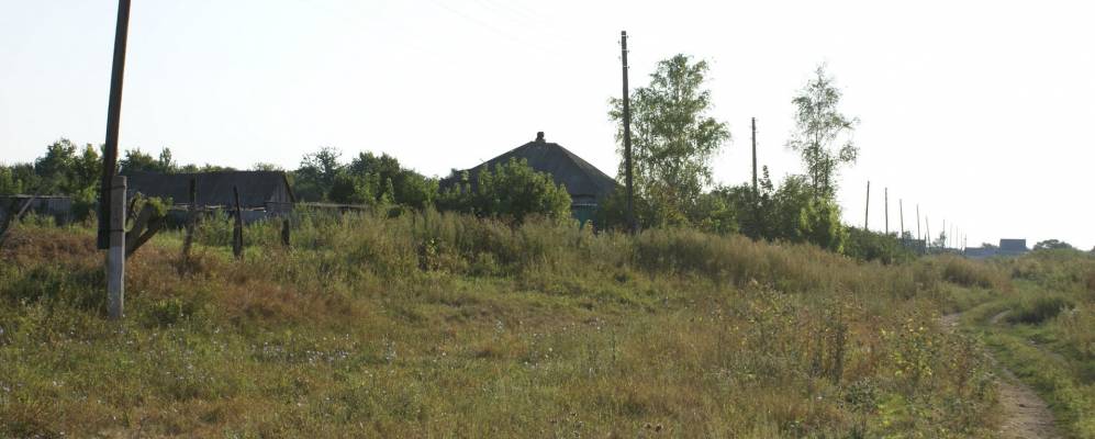 
            Фотография Сериково